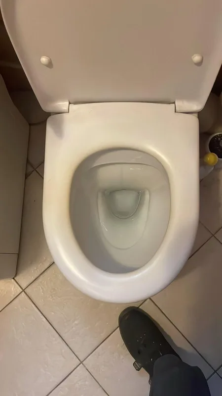 Cuvette WC propre après débouchage réussi